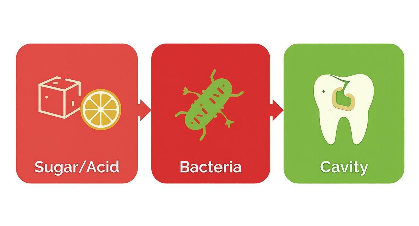 Diagram showing progression from sugar and acid through bacteria to tooth cavity formation