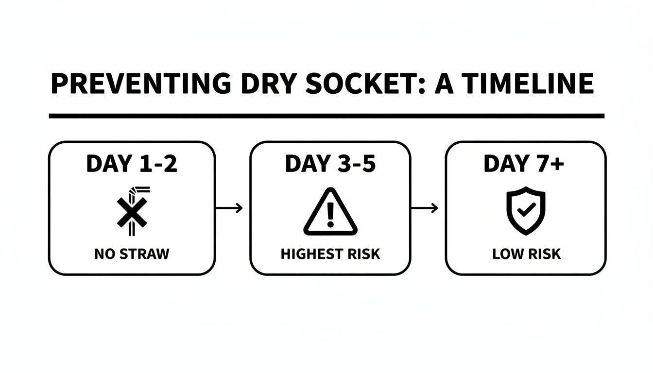 A timeline illustrating dry socket prevention with stages: no straw (Day 1-2), highest risk (Day 3-5), and low risk (Day 7+).