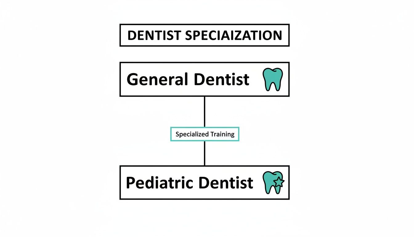 A flowchart showing dentist specialization from General Dentist to Pediatric Dentist via Specialized Training.
