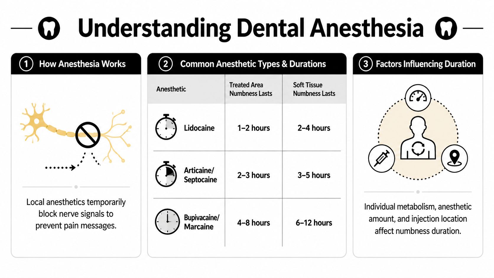 An infographic titled Understanding Dental Anesthesia showing how it works, different types, and factors affecting numbness duration.