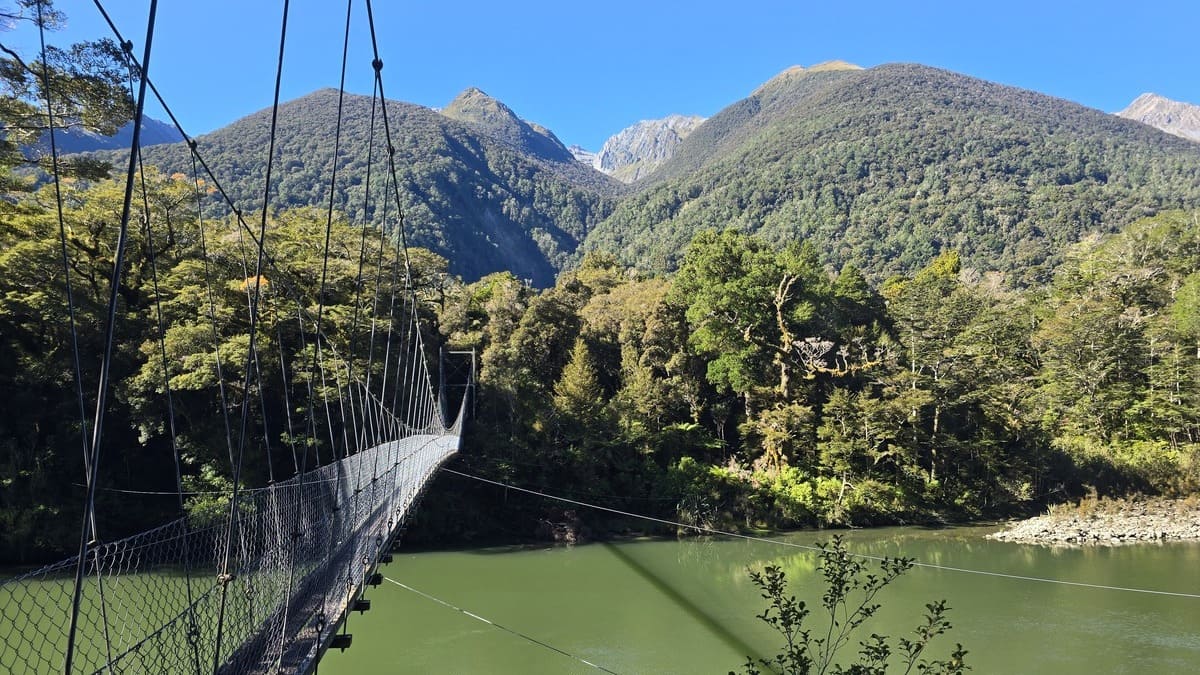 A very long wire bridge stretches over a river in the forest