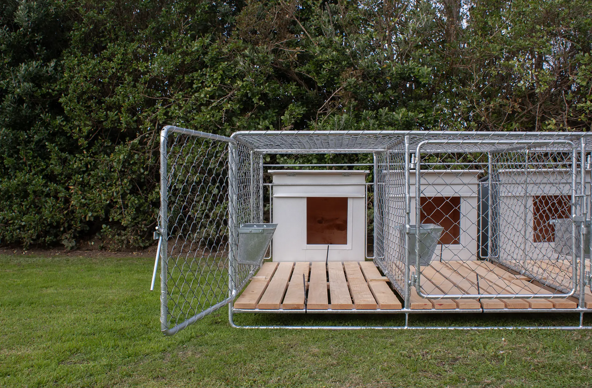 Heavy‑duty dog kennel and run – secure, weather‑resistant outdoor setup