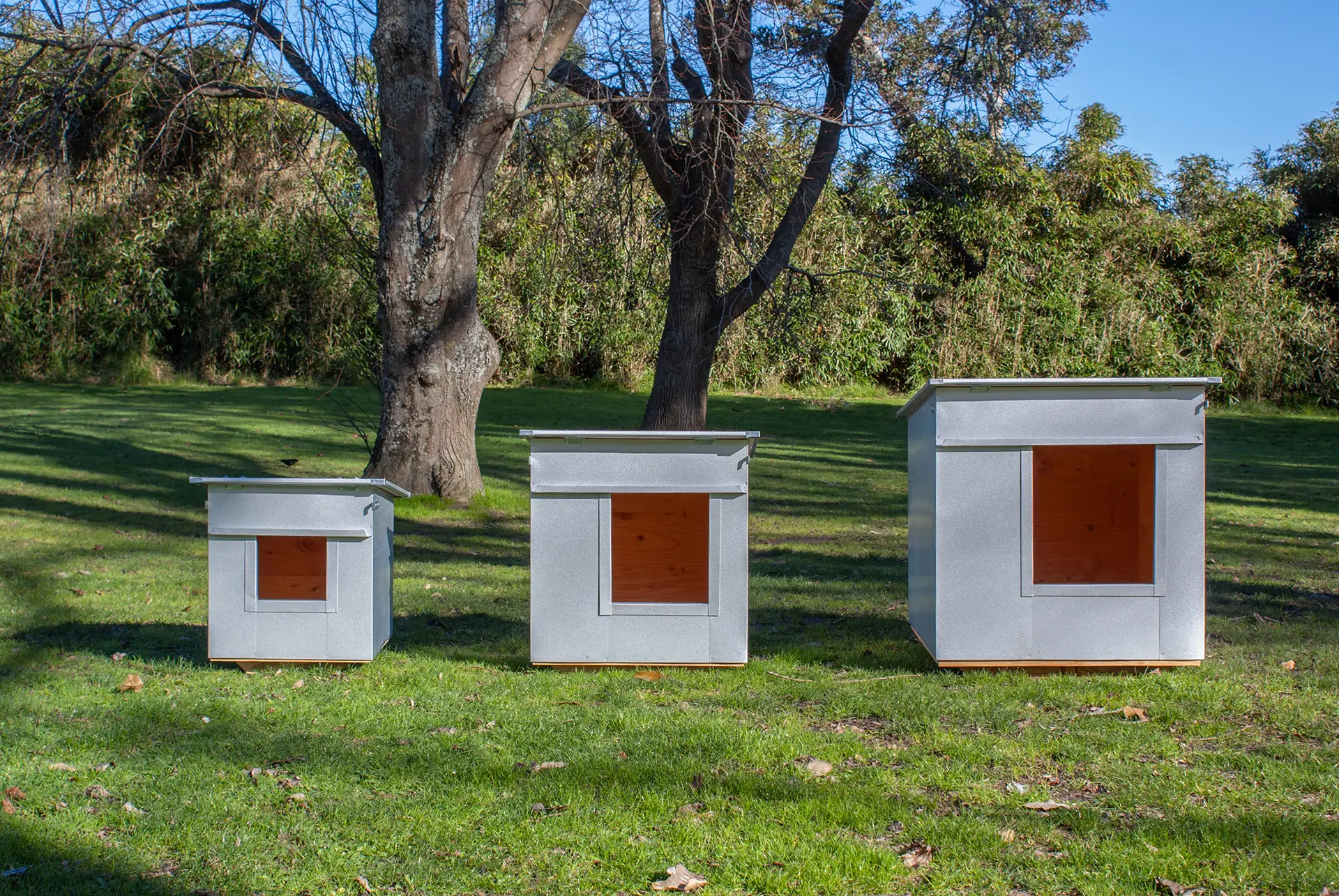 Small, Medium & Large Five Star Kennels