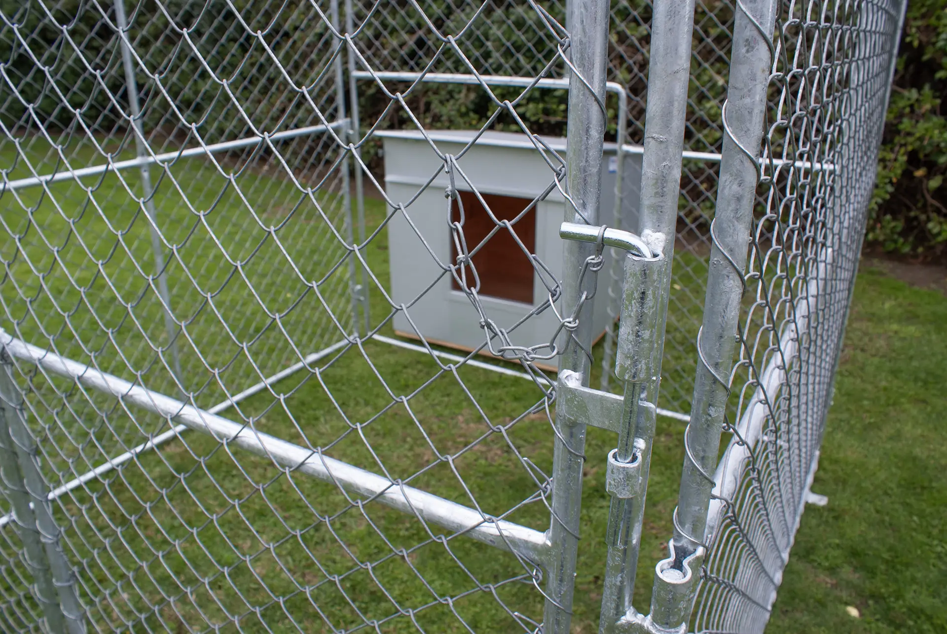 Five Star walk-in enclosure – spacious outdoor dog run for exercise and safety