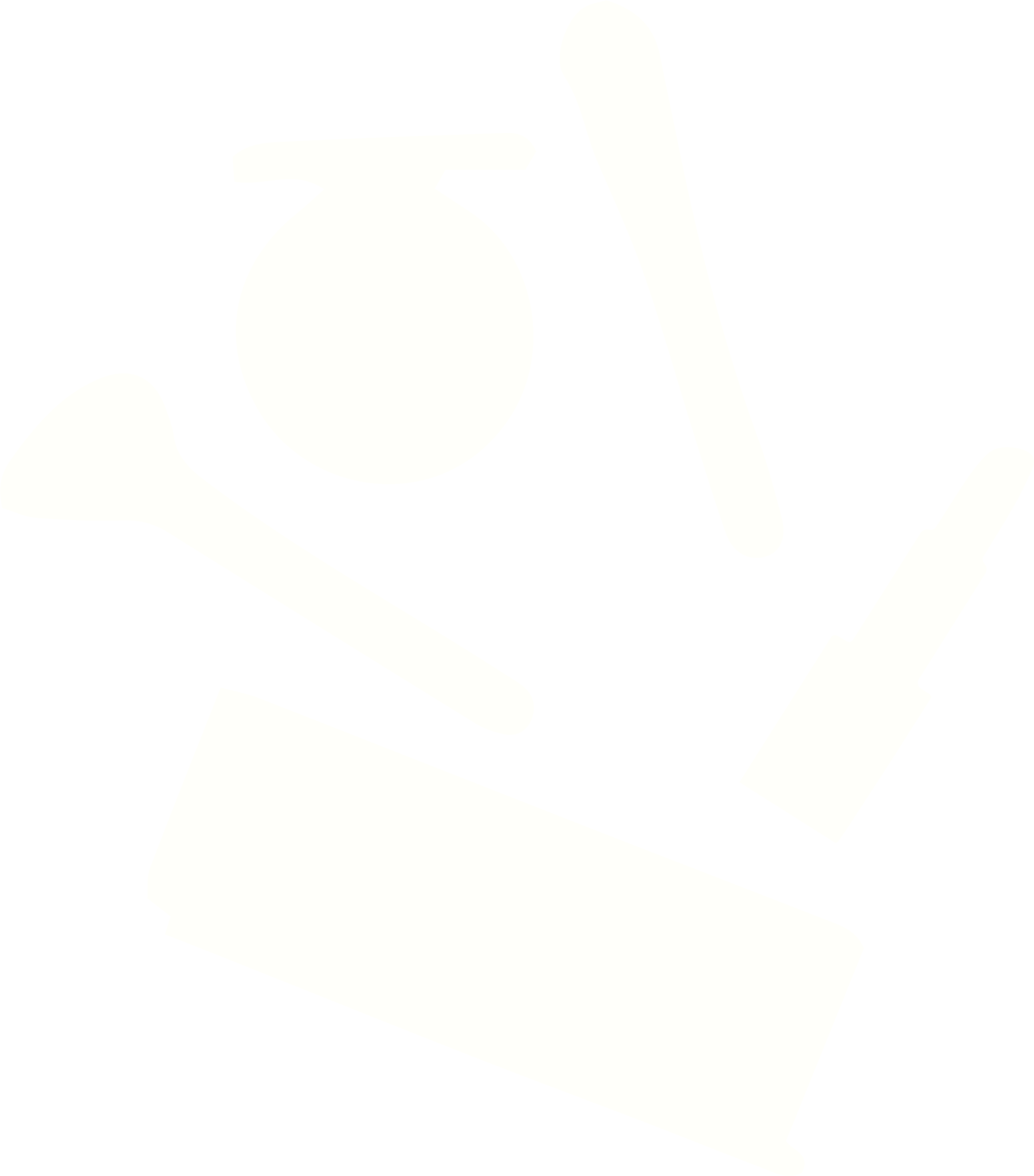 Cosmetics