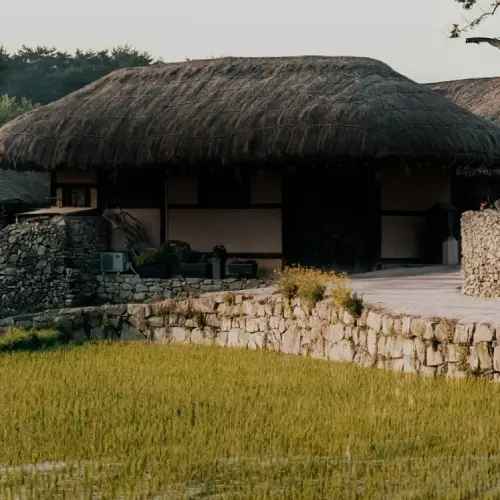 Maison traditionnelle coréenne en pierre avec toit en chaume et jardin fleuri