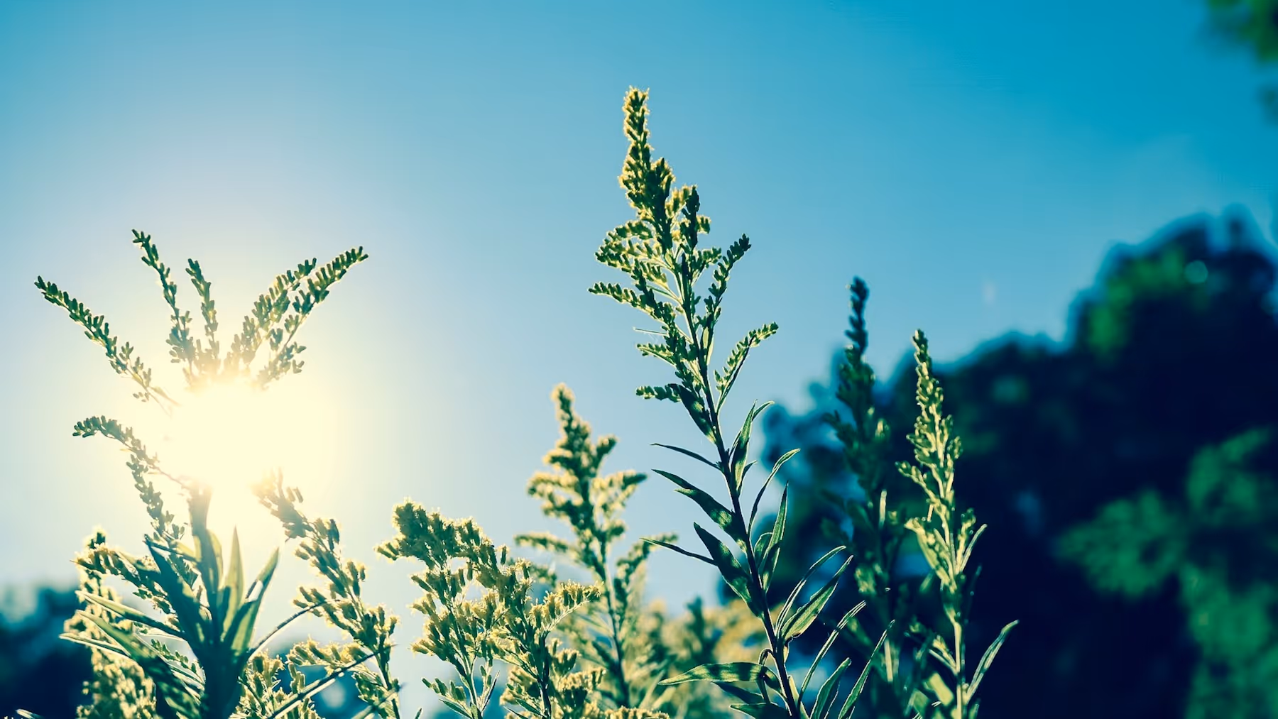 Rayon de soleil pour alimenter des panneaux solaires