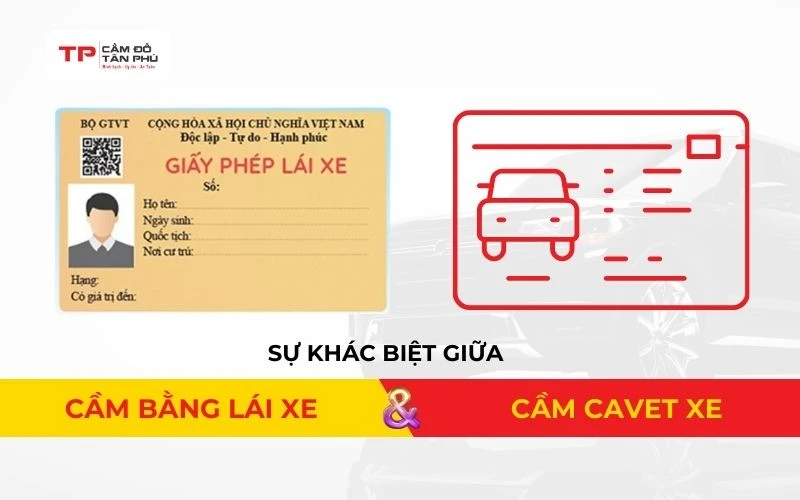 Hình ảnh minh họa: Sự khác biệt giữa cầm bằng lái xe và cầm cavet xe