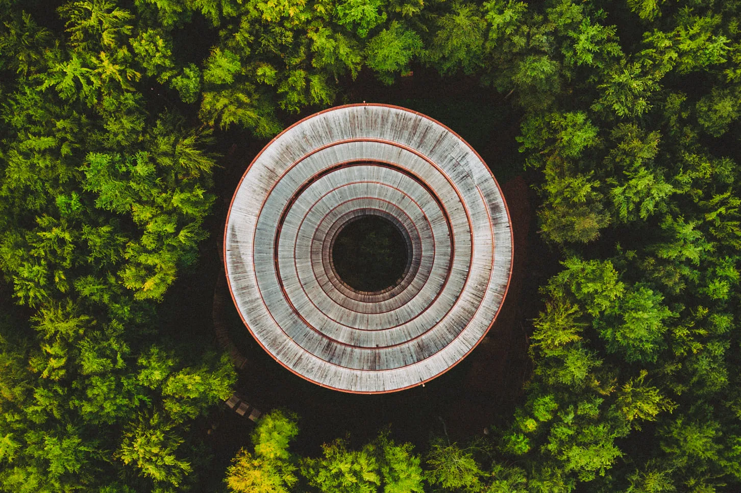 A circular structure in the middle of a forest.
