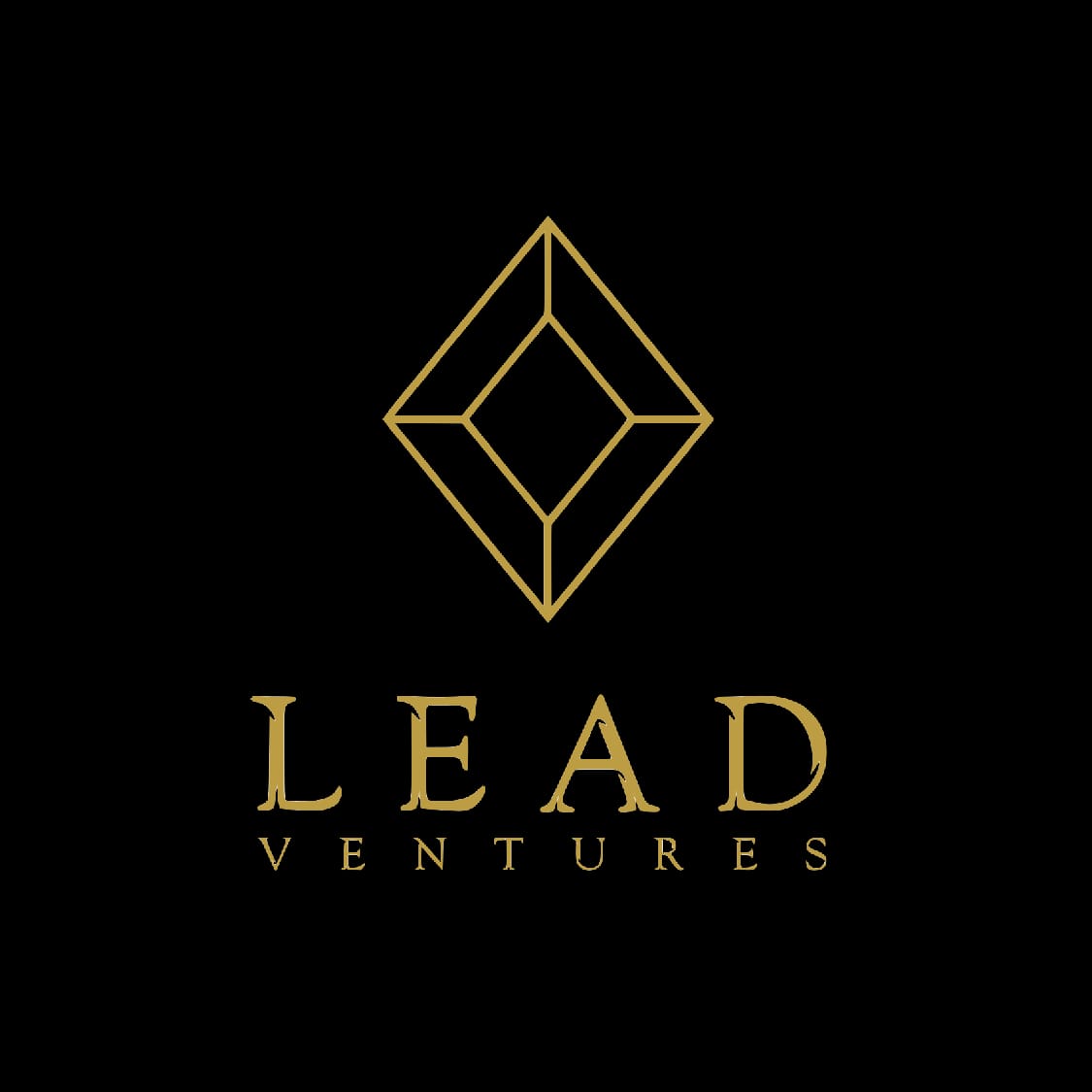 Lead Ventures logo