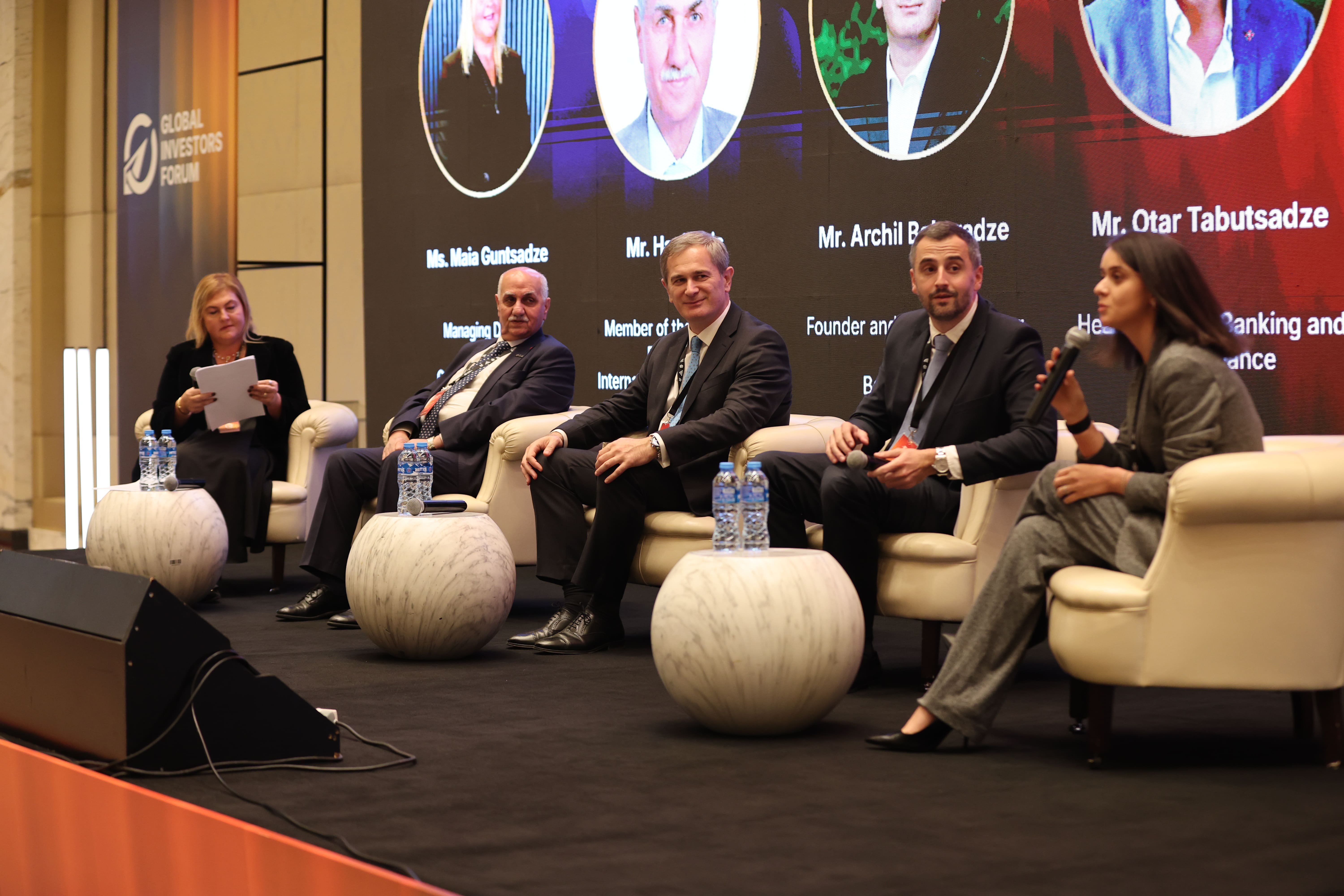 The Global Investors Forum 2025 - Georgia — event photography