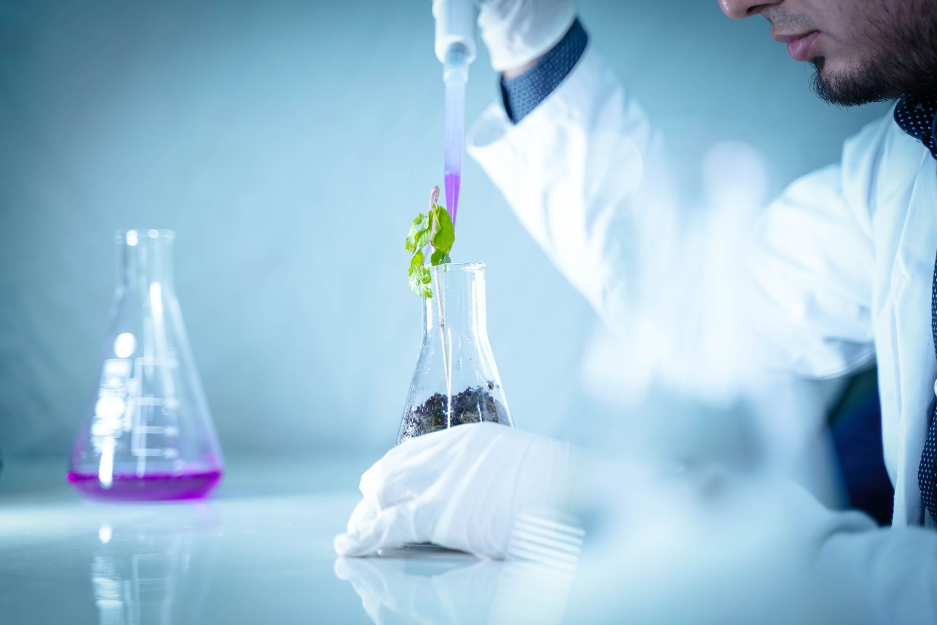 Scientist pouring liquid into a beaker with plant for a laboratory experiment — Regenerative Medicine