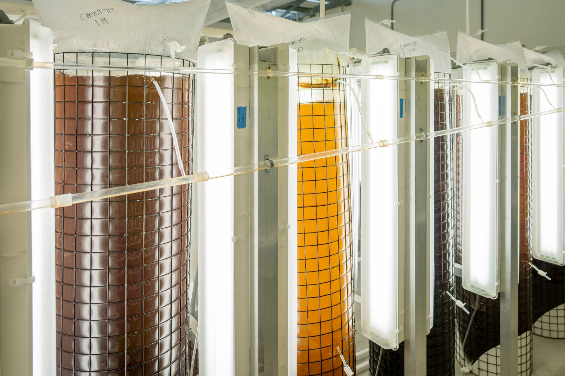 Industrial fermentation tanks with vibrant liquid colors in a laboratory setting — Regenerative Medicine