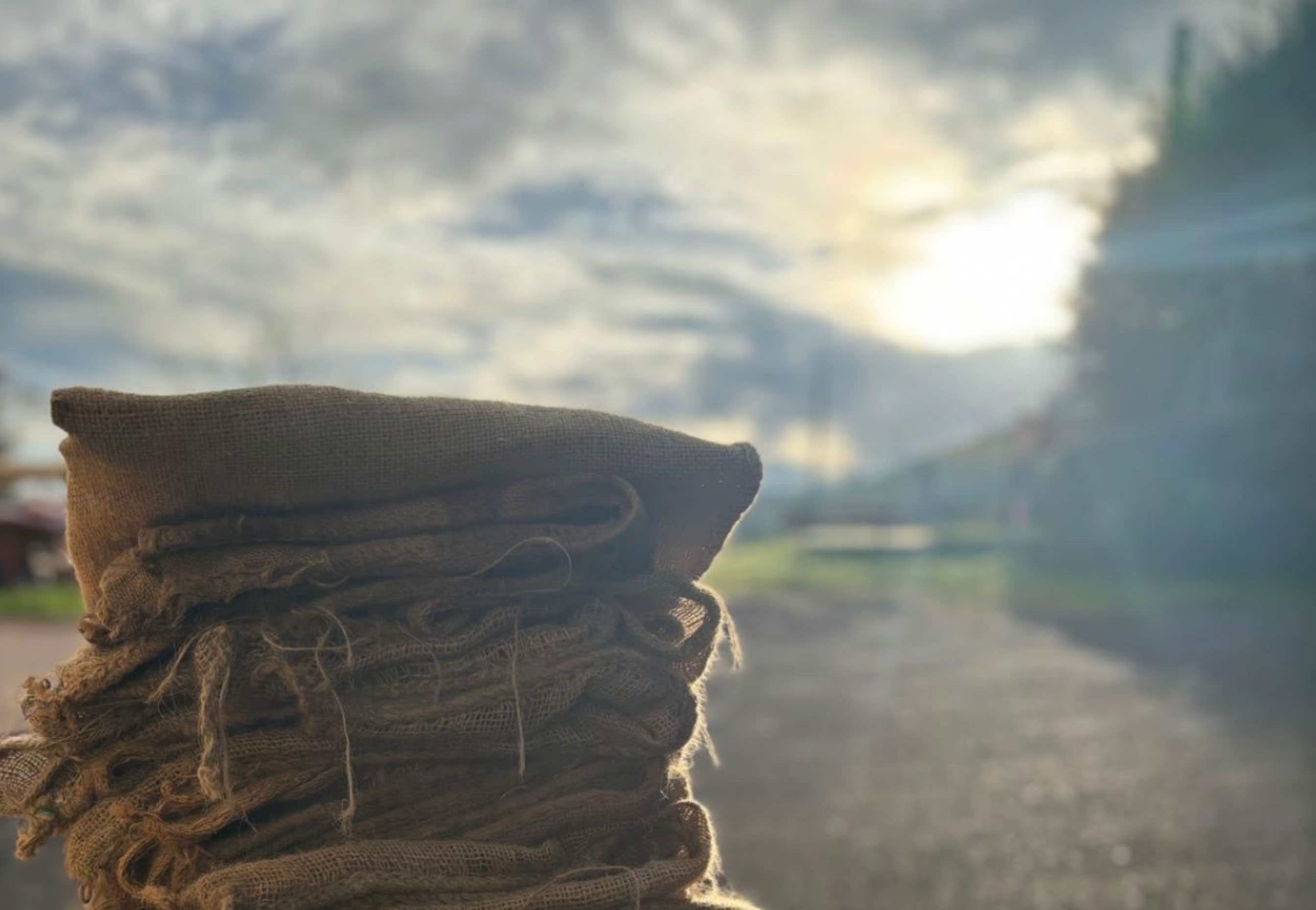 Foto von Säcken auf einem Feld