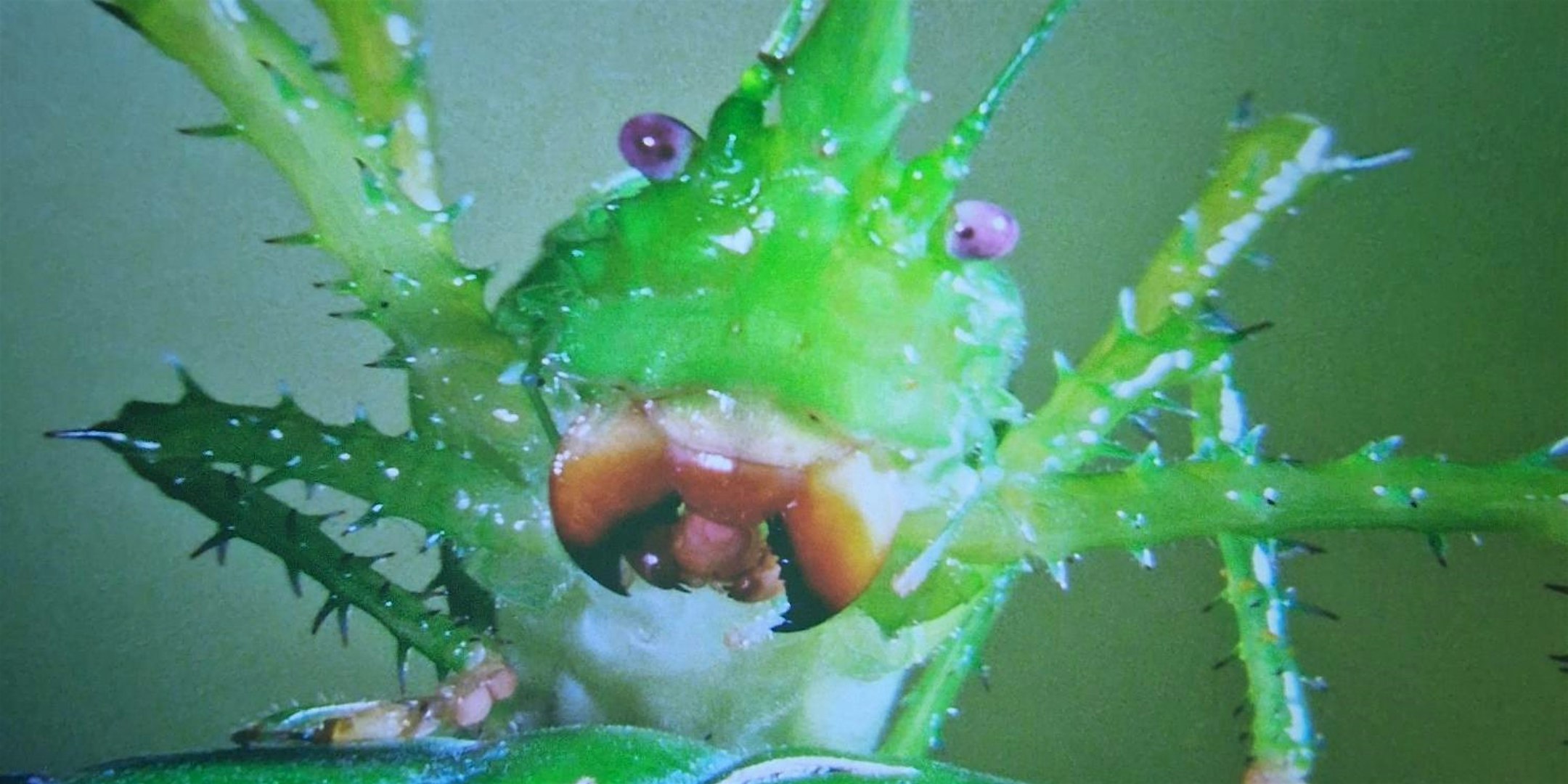 BUGS! A Rainforest Adventure event preview