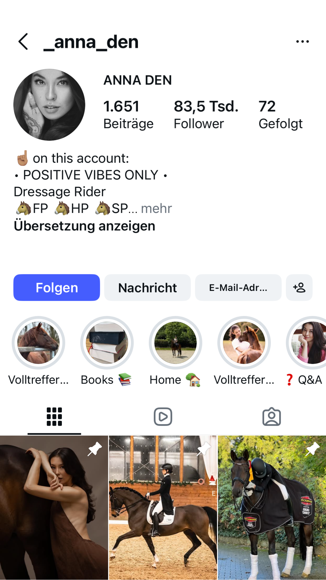 Instagram-Profil Anna Den