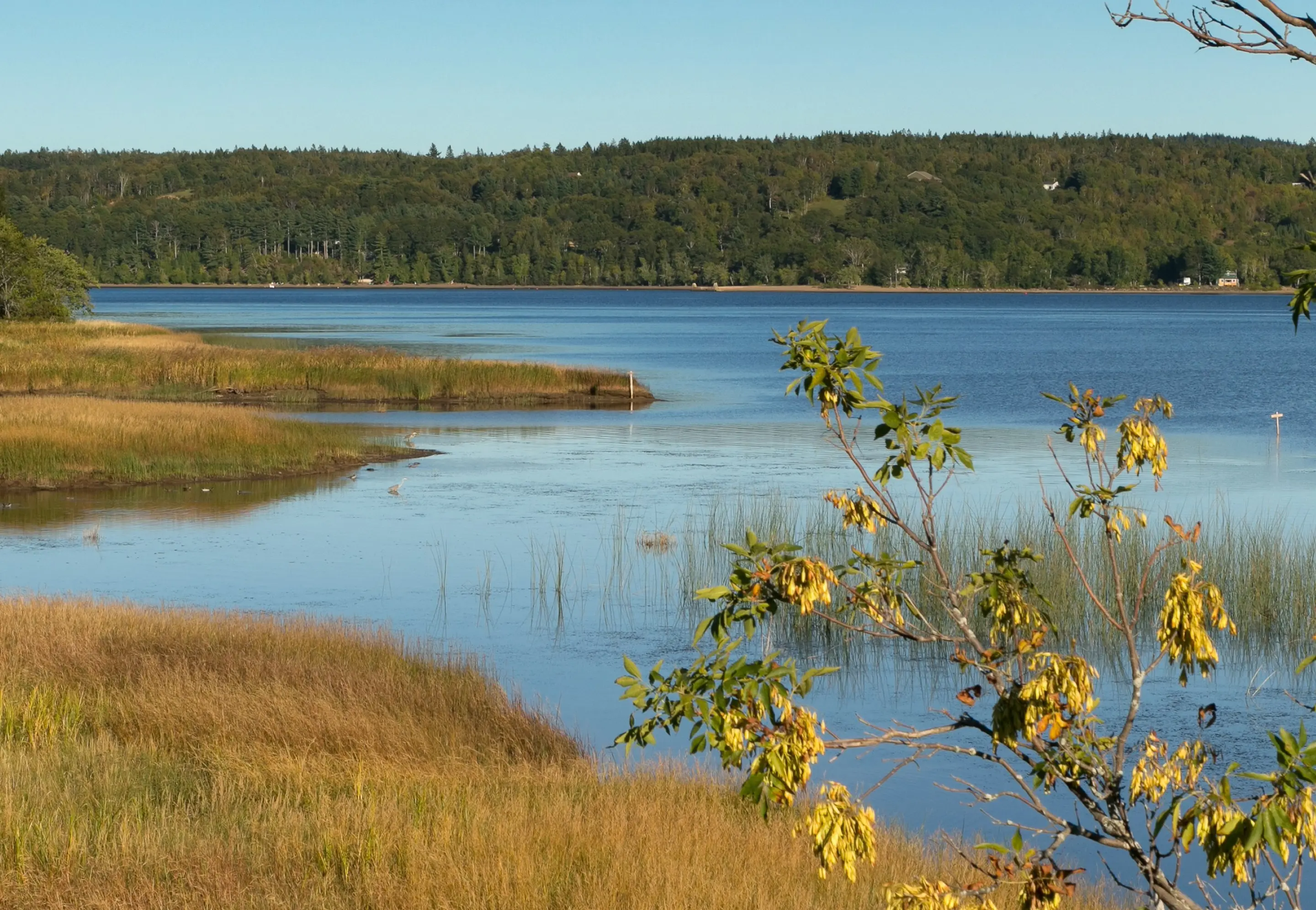 Lake scene