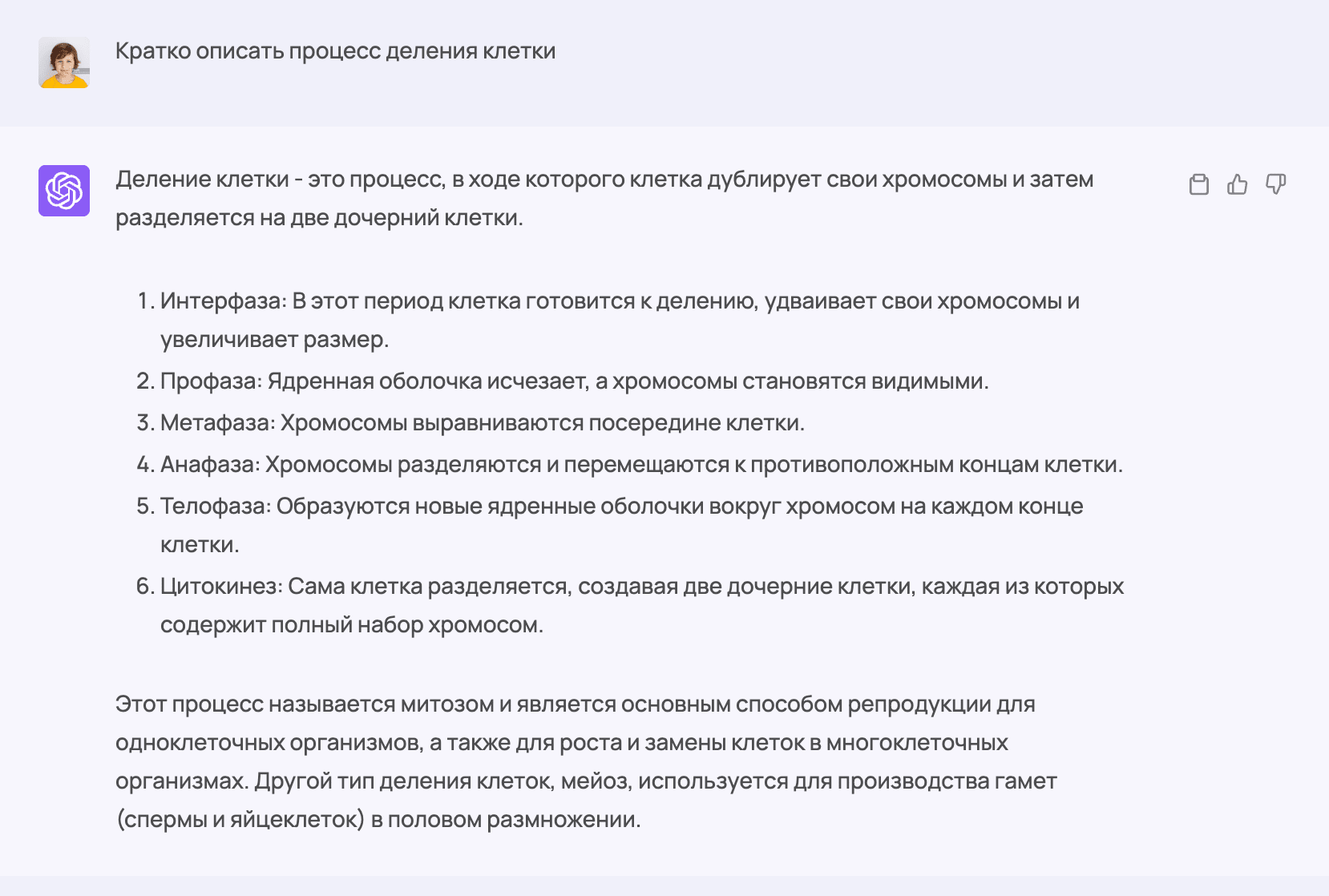 Кратно описать процесс деления клетки