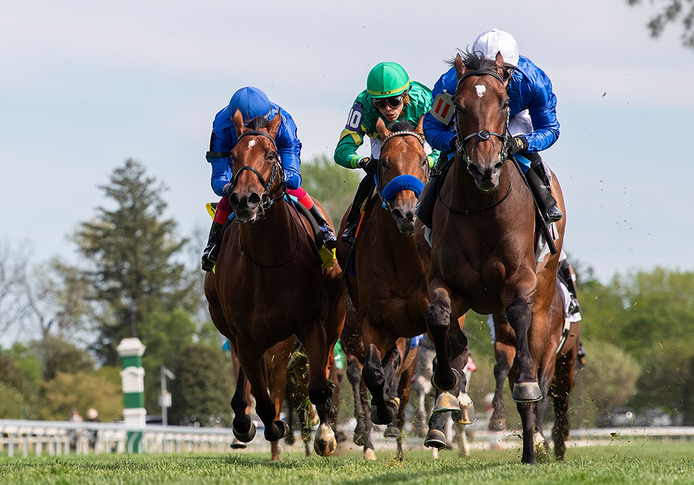 Feeding the Ex-Racehorse: Top Tips