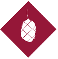 Feed plenty of forage