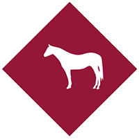 ‍Don't blame the protein