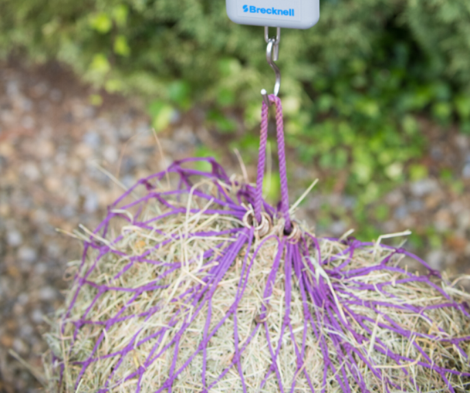 Weighing a Hay Square