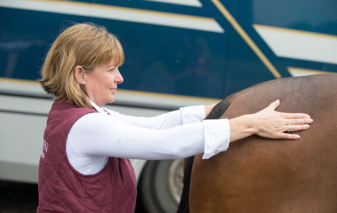 SARACEN EV BURSARY 2015 SPENCER WILTON 407