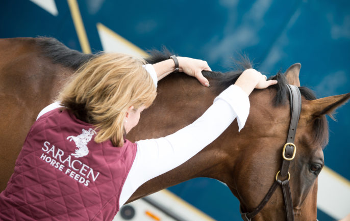 Feeding the Ex-Racehorse: Maintaining Optimum Body Condition