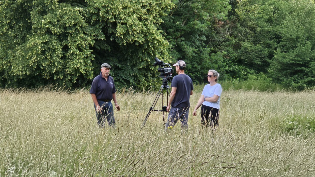 Why Horses Could Hold the Key to the Future of Land