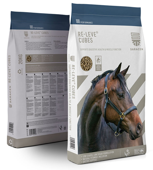  Re-Leve Cubes in New Bag Design