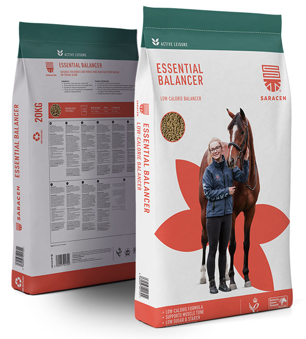 Essential Balancer in New Bag Design