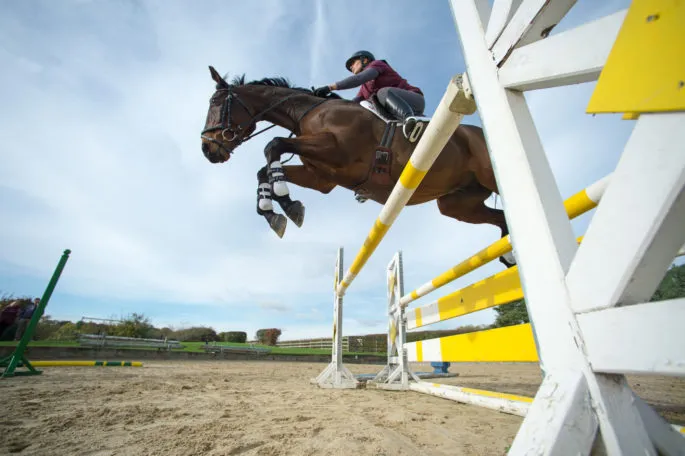 Showjumping