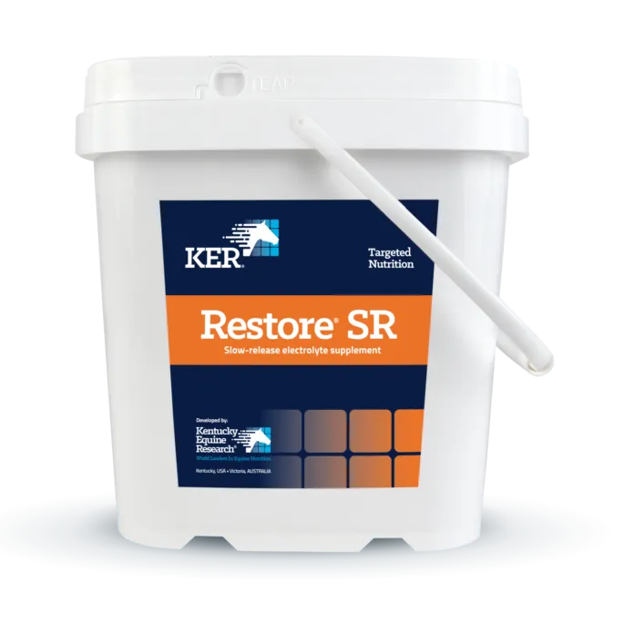 Restore SR Small Bucket