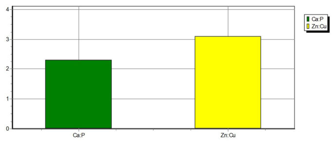 Lactation Mare Care 4 1270