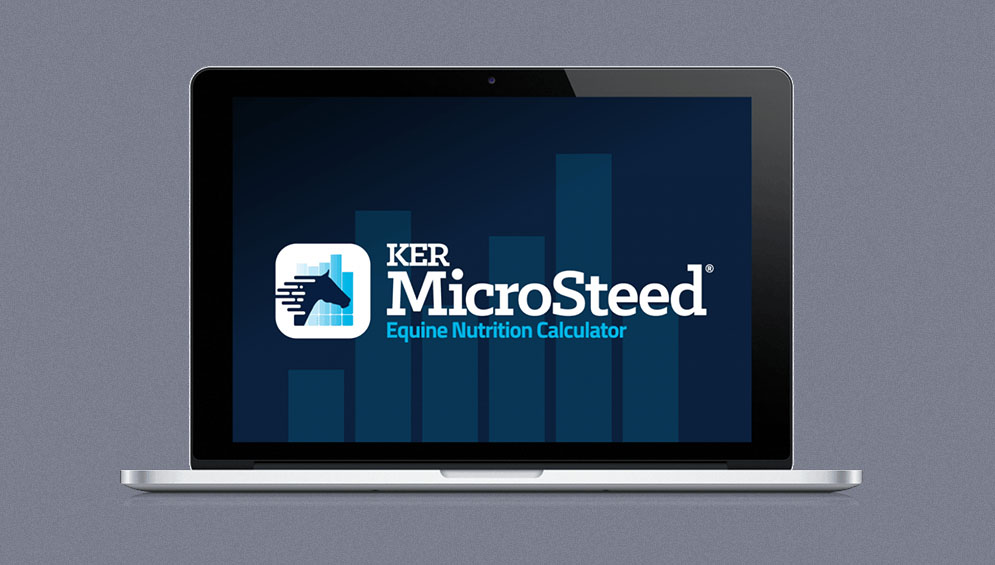 MicroSteed™ Report – Broodmare Late Pregnancy