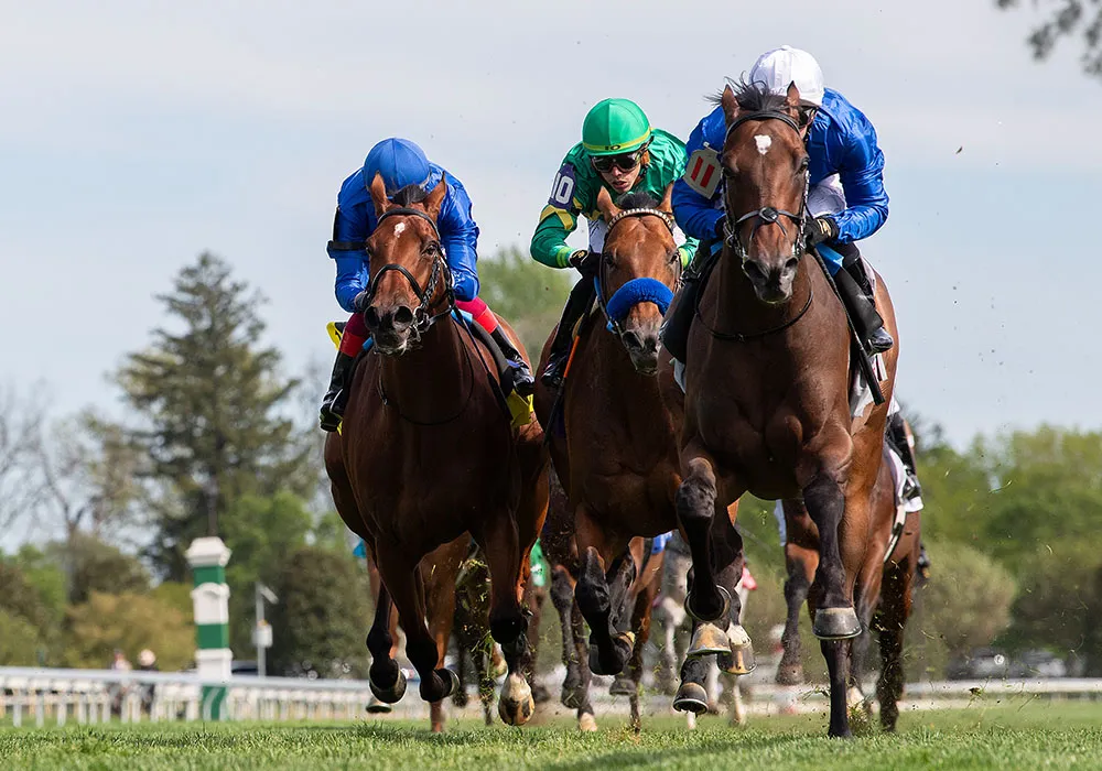 Feeding the Ex-Racehorse: Top Tips
