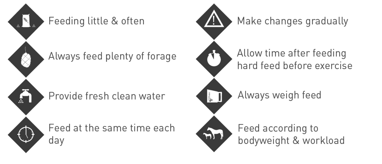 Overview of Basic Feeding Rules