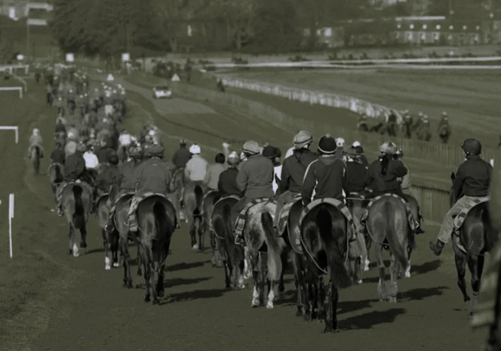 Muscle Problems in Equine Athletes: Making the Most of Nutrition
