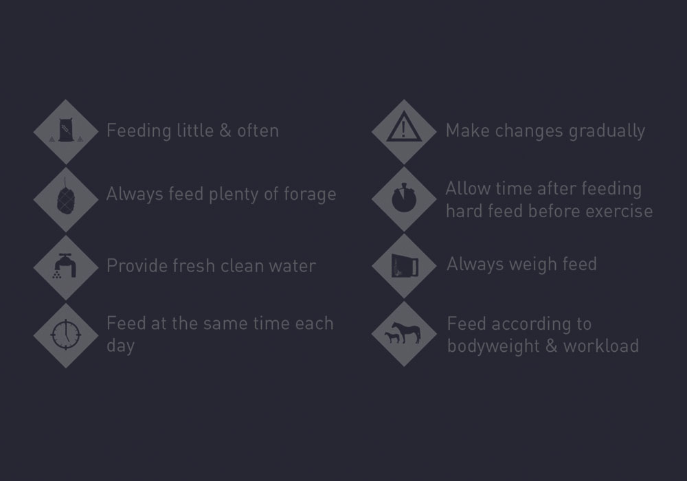 Nutritional Management to reduce the risk of Gastric Ulcers