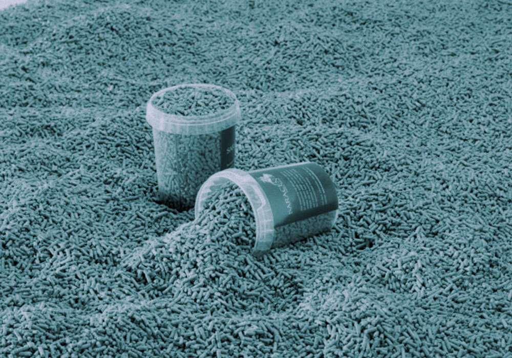 Weight Management: Choose a Low Calorie Diet