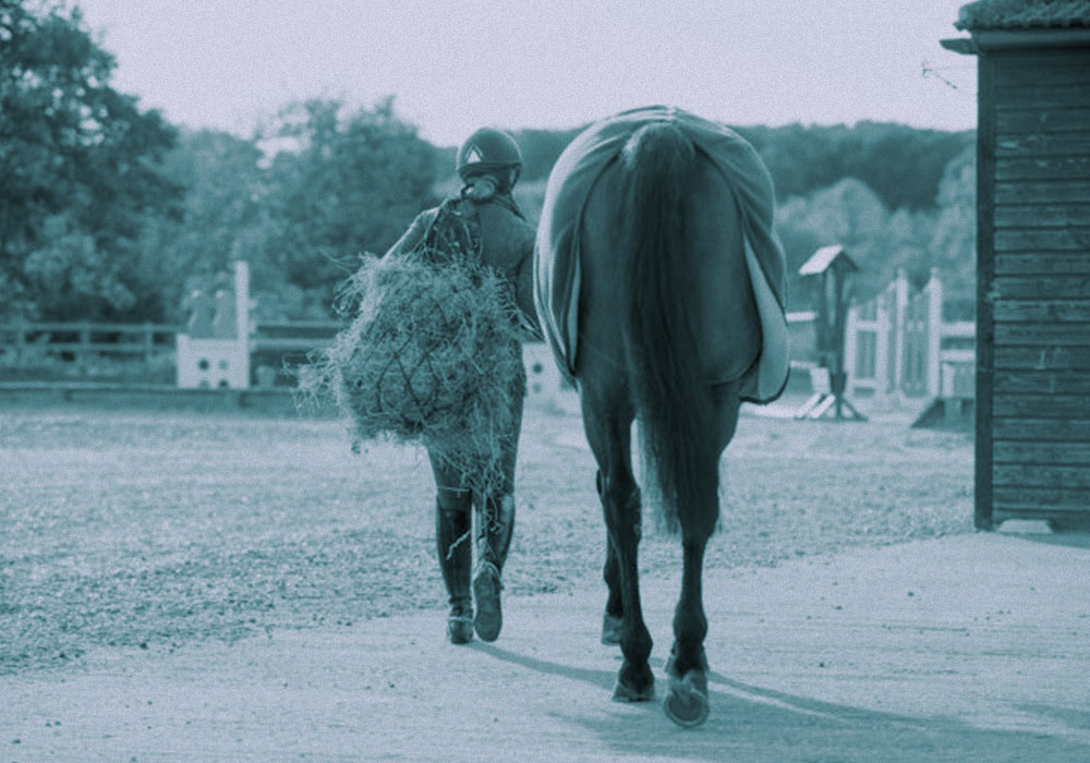 Weight Management: Maintaining Fibre Intake