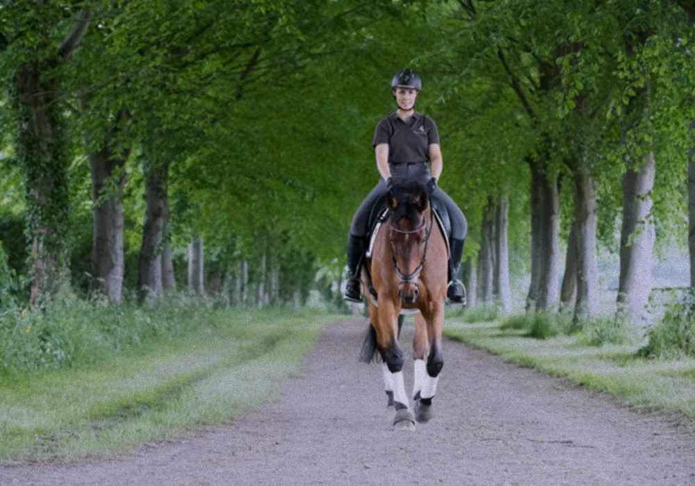 Risk Factors associated with Gastric Ulcers