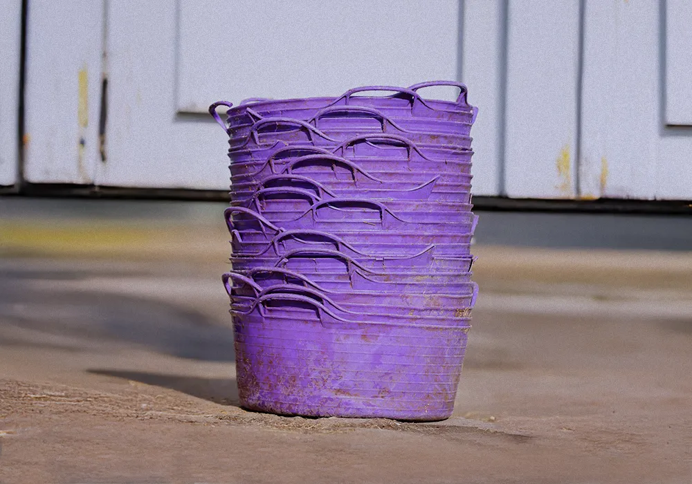 Finding the right feed for your ulcer prone horse or pony