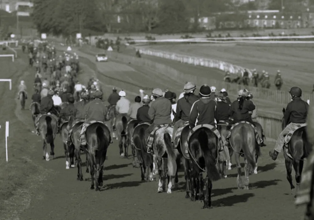 Muscle Myopathies: Muscle Problems in Equine Athletes – Making the Most of Nutrition