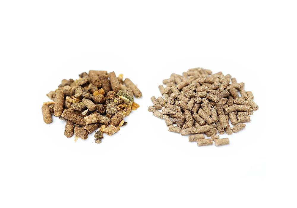 Feed Ingredients for Horses