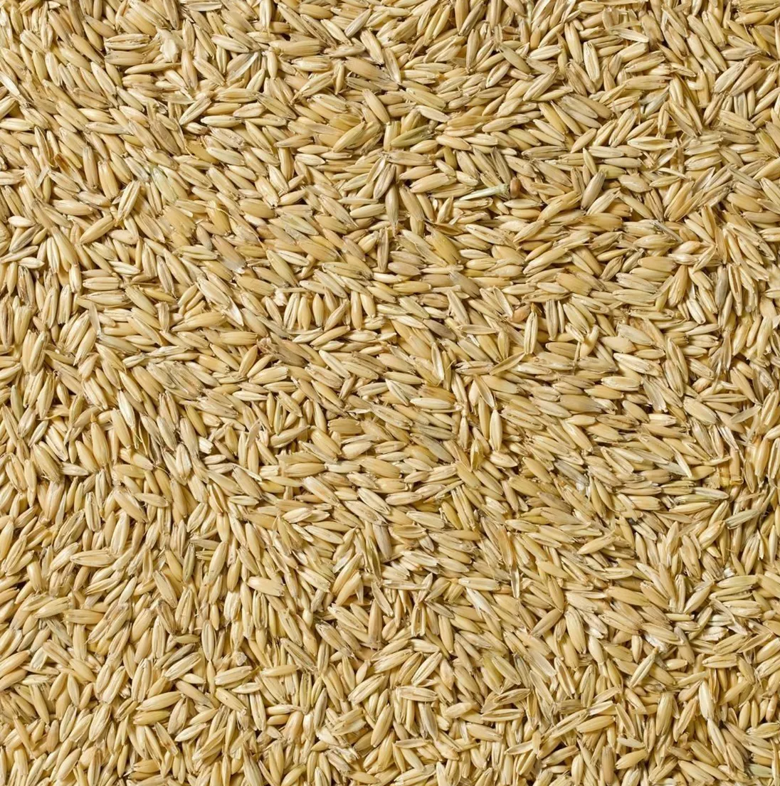 CRUSHED OATS – Feed