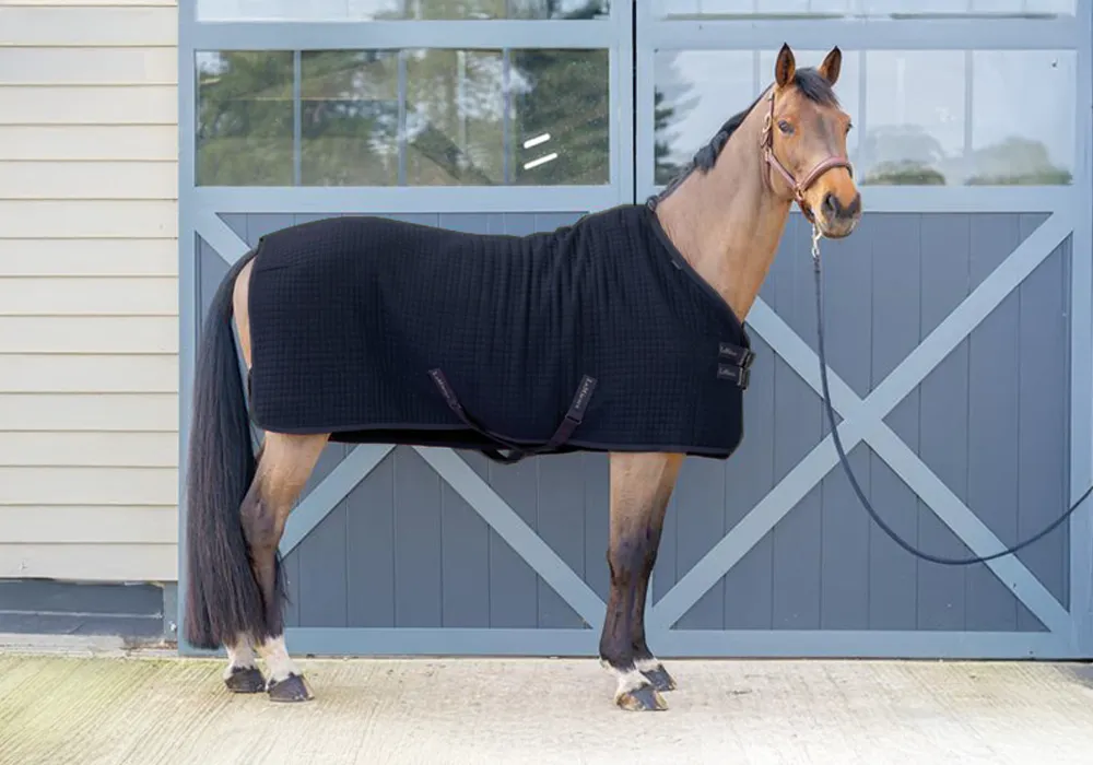 Feeding Solutions for Horses Prone to Tying-Up