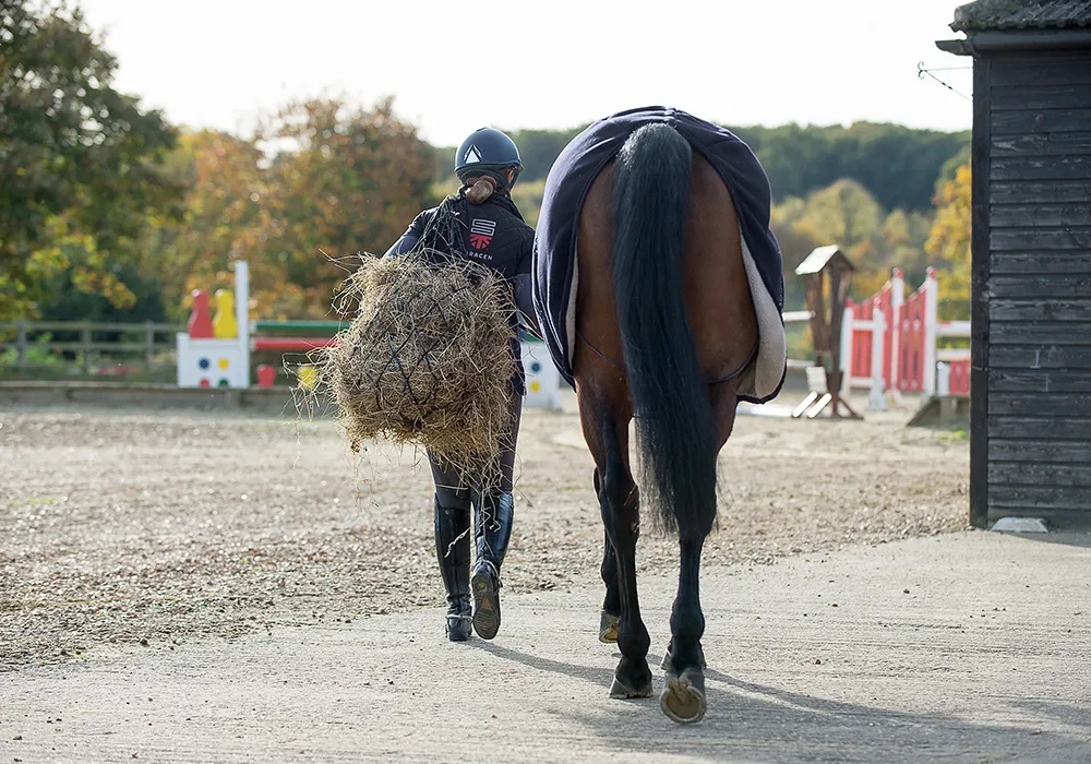 Forage Analysis for Horses Explained