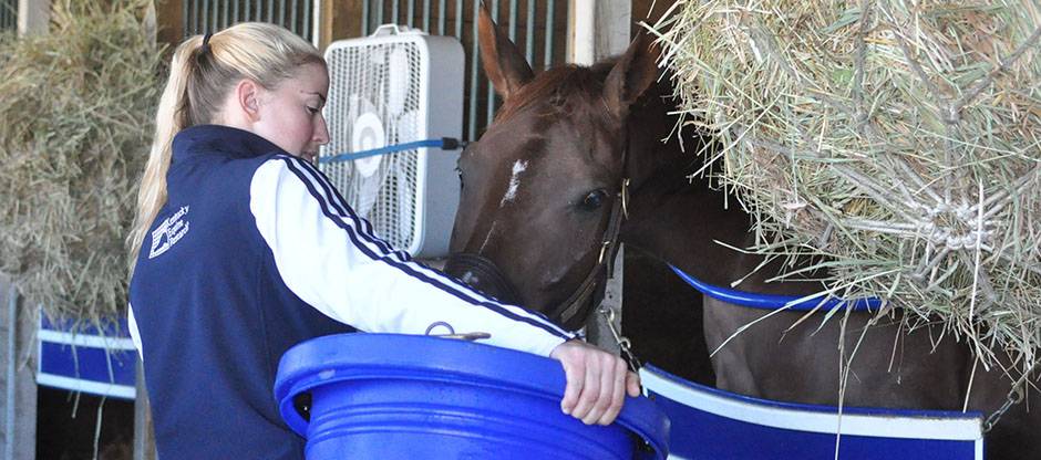 Historical Review of Gastric Ulcers