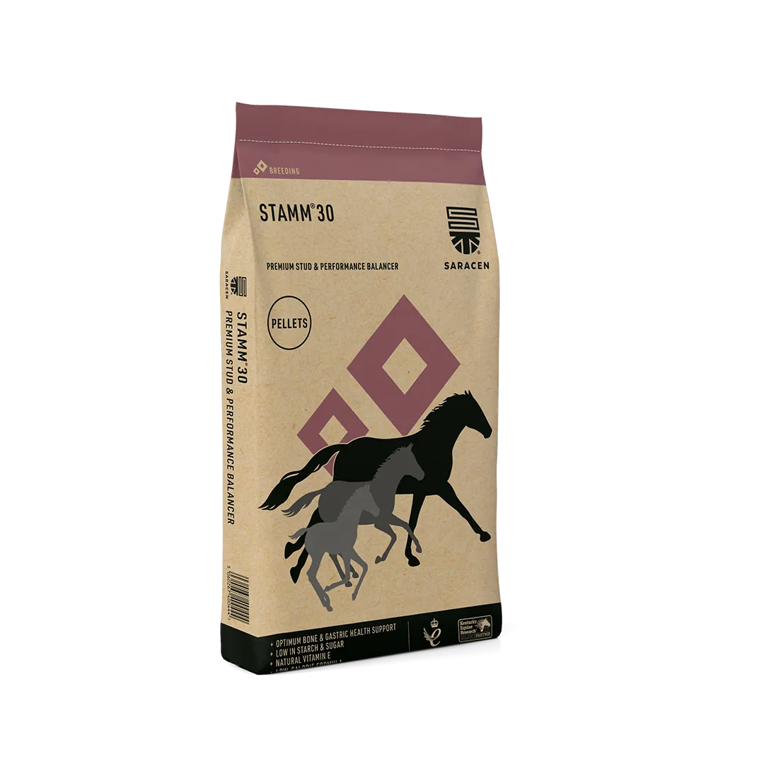 STAMM® 30